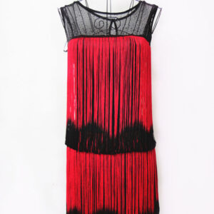 1920s Flapper Dress With Tassels Ture Red 20s Party Dress