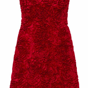 Aje - Strapless Rosette-Gazer Mini Dress - Red - AU 14 - Moda Operandi