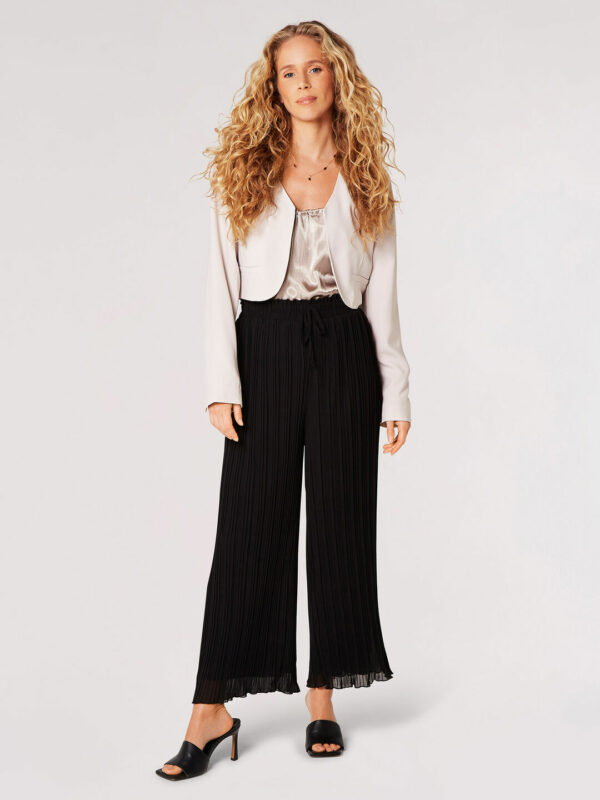 Chiffon Pleated Longline Culottes