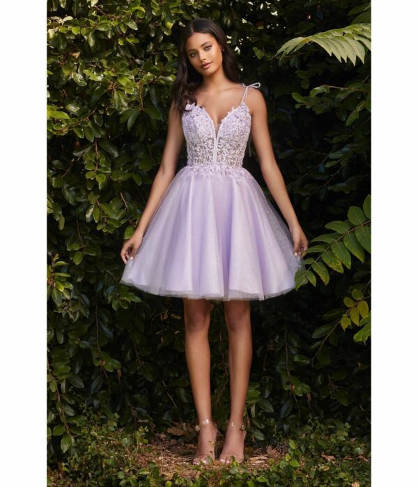 Cinderella Divine Lavender Tulle & Corset Applique Mini Prom Dress