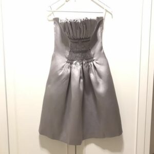 Miu Miu Tube Dress in Matte Silver, Women's (Size XS)