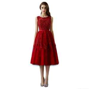 Rosyfancy Red Lace Applique Sleeveless A-line Tea Length Prom / Party Dress