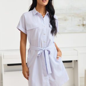 Striped Collared Button-Up Mini T-Shirt Dress