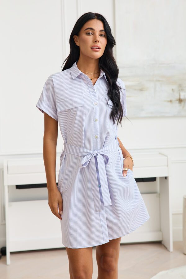 Striped Collared Button-Up Mini T-Shirt Dress