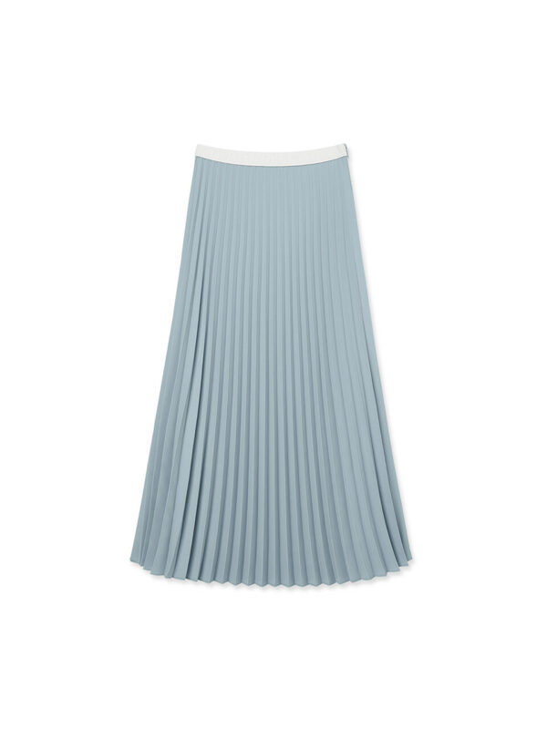 Women Pleasts Maxi Skirt _ Light Blue