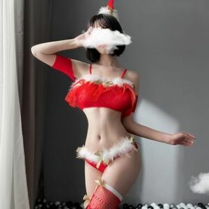 X'Mas Lingerie Set Set - Hat & Top & Panties & Fishnet Stockings - Red - One Size