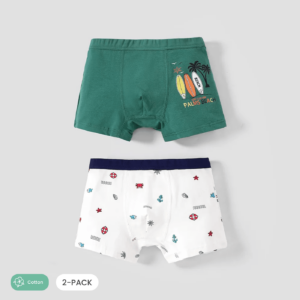 2pcs Boy Casual Cotton Panties Set