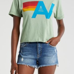 Aviator Nation Logo Graphic T-Shirt in Sage at Nordstrom, Size X-Large