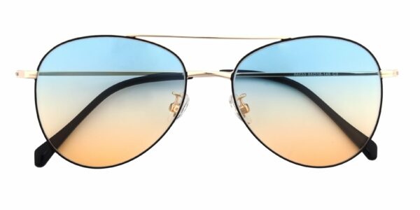 Aviator Sunglasses, Full Frame Black/Golden Titanium - SUP0499