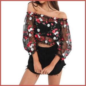 Black Sheer Mesh Long Sleeve 0ff Shoulder Embroidered Floral Spring Crop Top