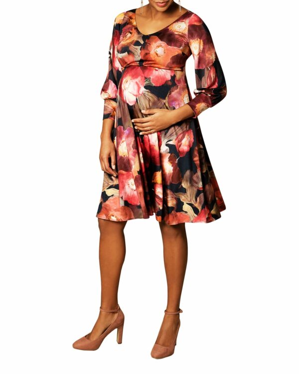 Maternity Pixie Watercolor Floral V-Neck Dress