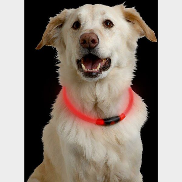 Nitehowl LED Safety Necklace