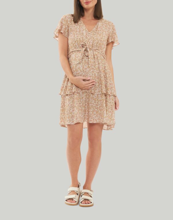 Ripe Maternity Brook Layered Dress