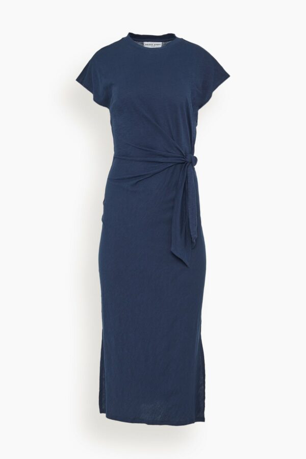 Vanina Cinched Waist Dress in Indigo