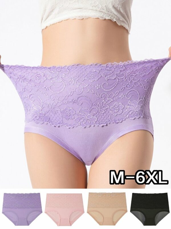 Women Plain All Season Simple Lace High Waist Lightweight High-Elastic Daily 1 * Panty Panties