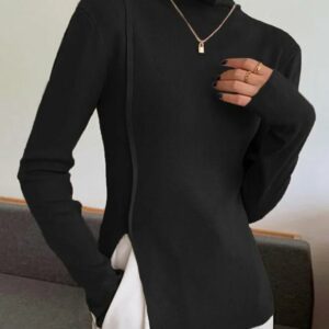 Women Plain Autumn Urban Commuting Long sleeve Turtleneck Regular T-Line Regular T-shirt