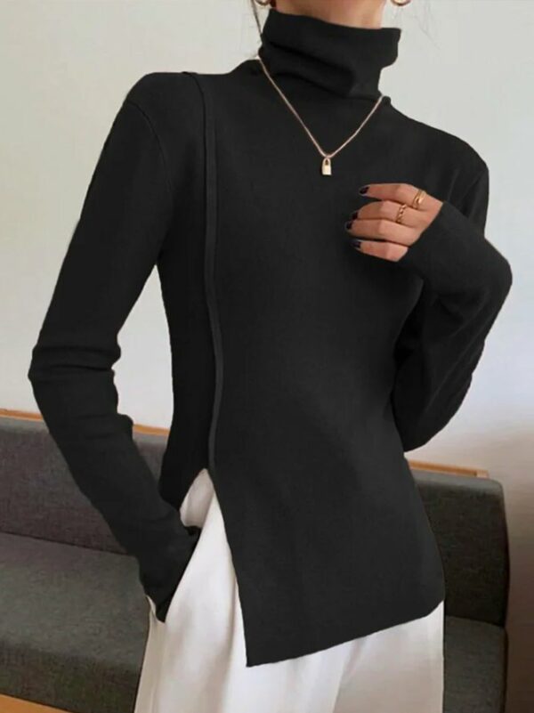 Women Plain Autumn Urban Commuting Long sleeve Turtleneck Regular T-Line Regular T-shirt