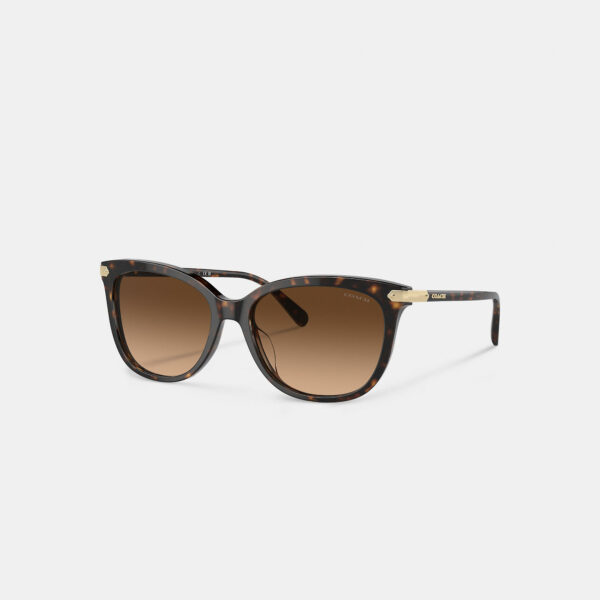 Wrap Around Hangtag Square Sunglasses