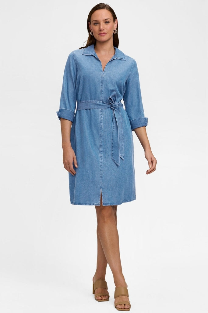 Agnes Tencel Denim Sleeve Dress