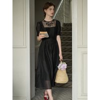 Mesh Embroidery Black Dress