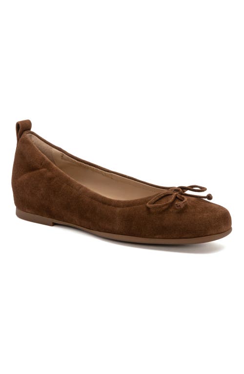 ABEO Cadence Bow Ballet Flat in Caramel Suede - Regular at Nordstrom, Size 5