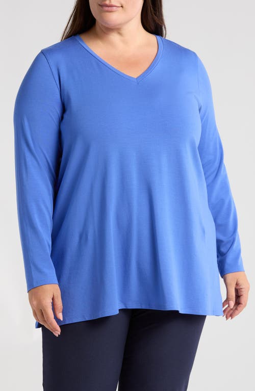 Eileen Fisher Long Sleeve V-Neck Tunic Top in Blue Star at Nordstrom, Size 1X