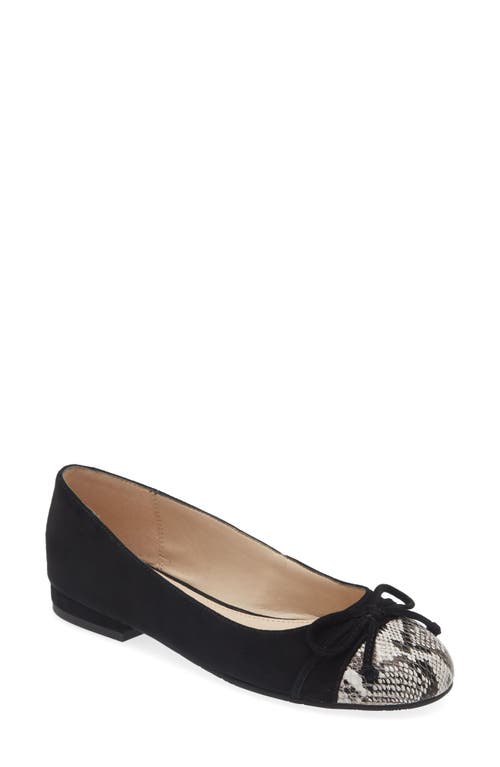 Pelle Moda Saida Ballet Flat in Black at Nordstrom, Size 5