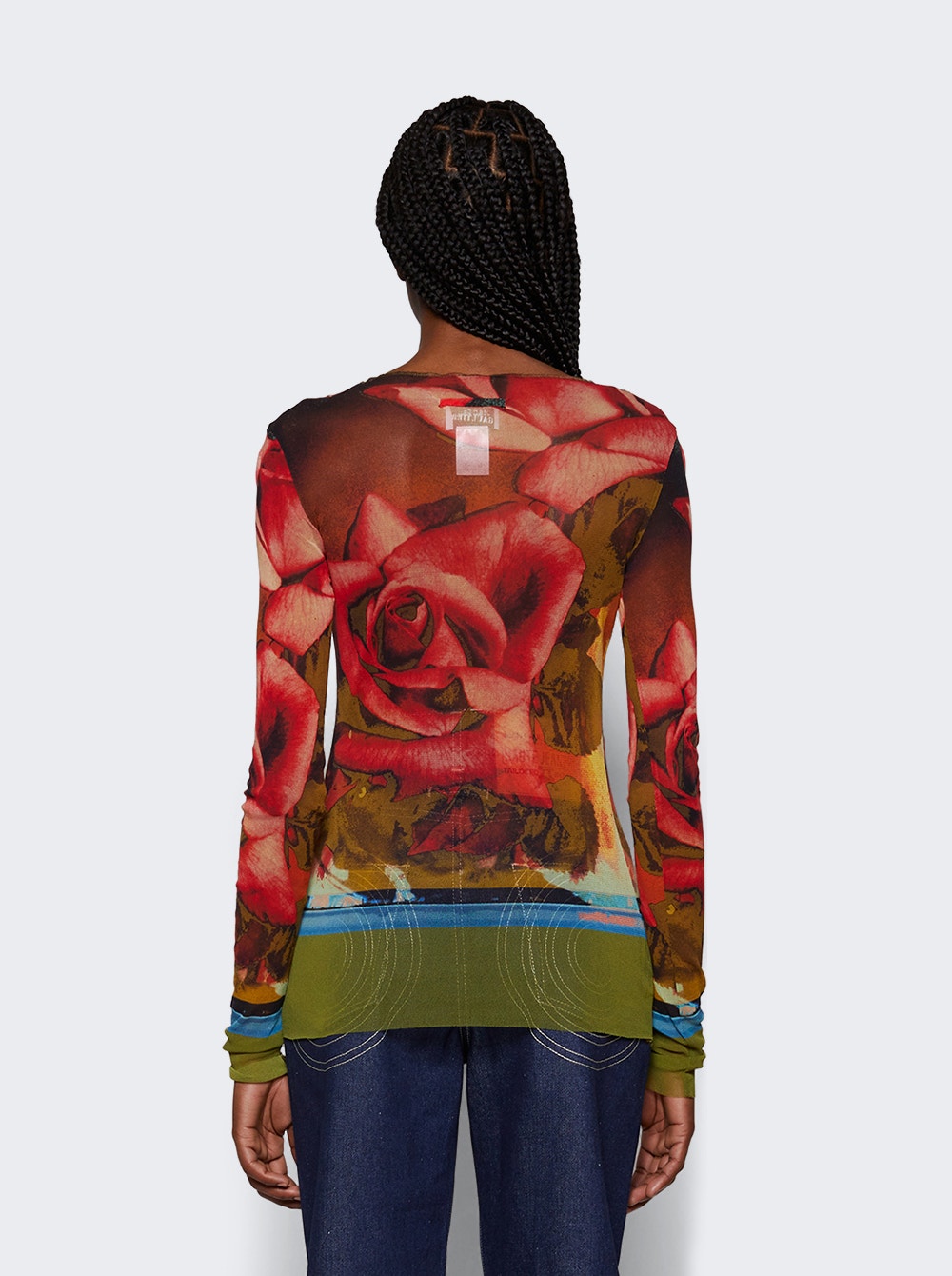 Rose Printed Mesh Long Sleeve Top