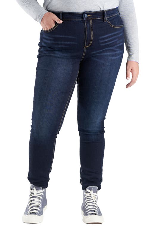 SLINK Jeans Jeggings in Carolyn at Nordstrom, Size 14W