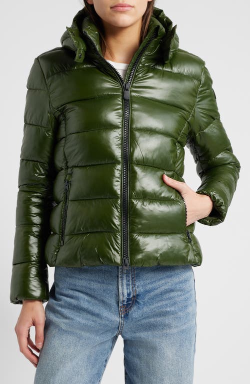 Save The Duck Cosmary Water Repellent Hooded Puffer Coat in Pine Green at Nordstrom, Size 00