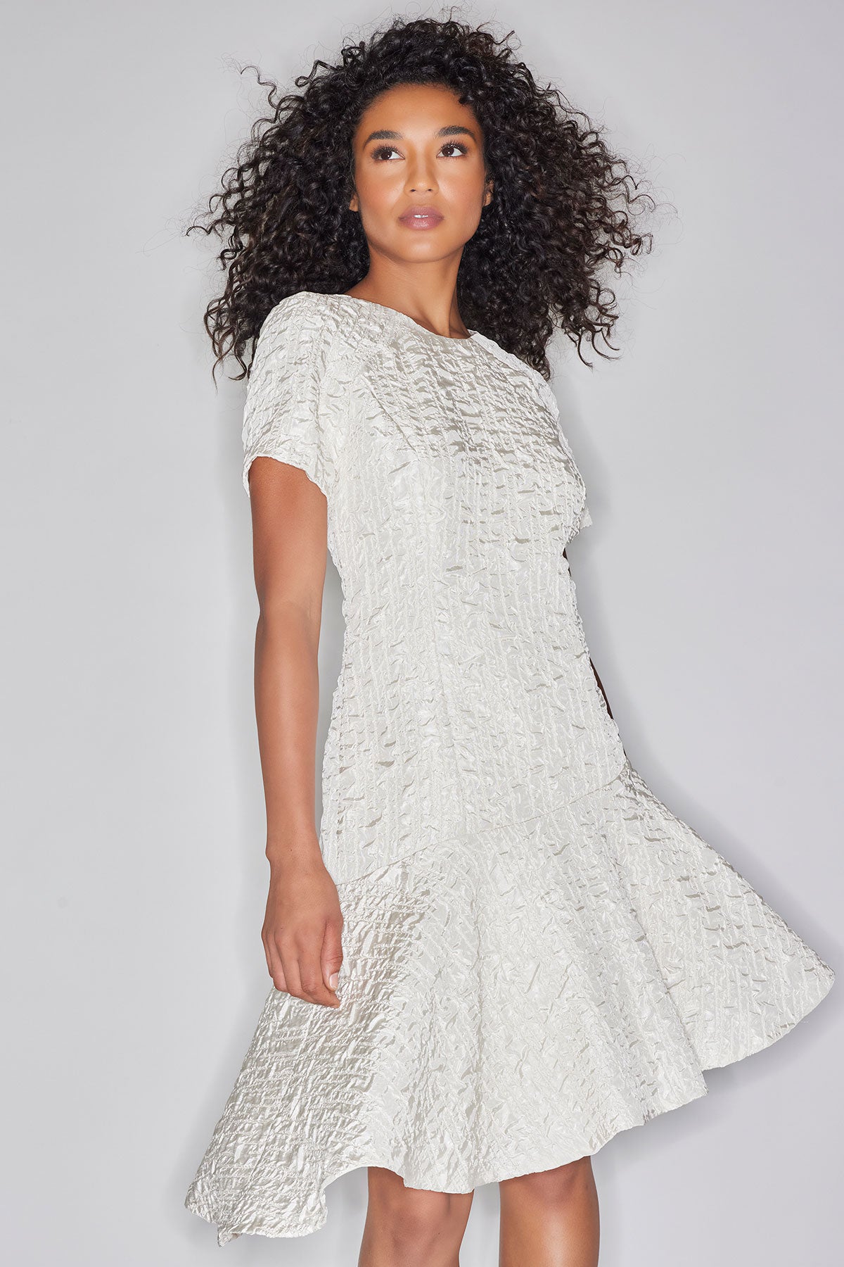 Pebbled Jacquard Short Sleeve Flounce Dress