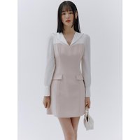 Block A-line Puff Sleeve Mini Dress