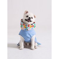 Trench Style Raincoat for Pet Sky Blue